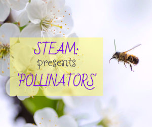 Steam Presents Pollinators